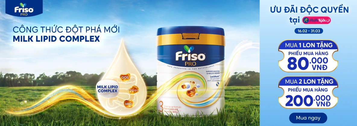 Banner trang NH Friso